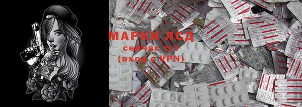 прущая мука Вяземский