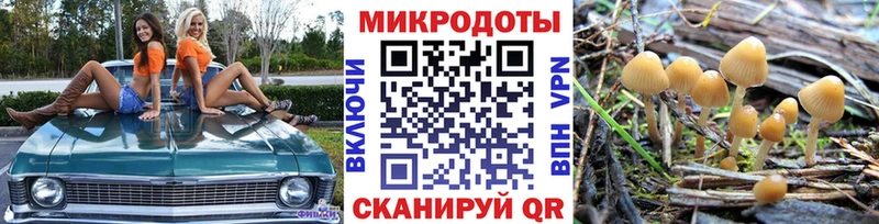 Псилоцибиновые грибы Cubensis  Купить  Сковородино 